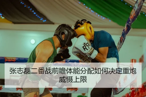 张志磊二番战前瞻体能分配如何决定重炮威慑上限
